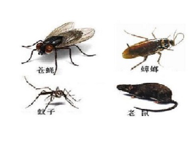 龙江四害消杀没有看到害虫出现，有必要定期虫害防治吗？