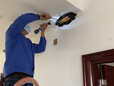 伦教杀灭白蚁专家住宅防白蚁，这几步千万不能少！