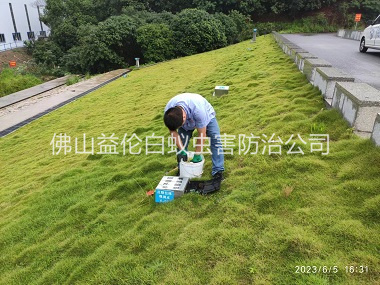 勒流水利堤坝鼠害防控工程
