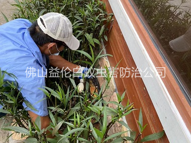 顺德园林绿化灭治白蚁工程