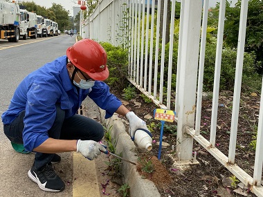 大良验收蚁害所简单有效的红火蚁防治措施